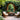 A large arched wooden mirror reflects a green corner with armchairs and plants.